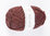 Alafosslopi 100 g, Suolaheinänkukka 1237